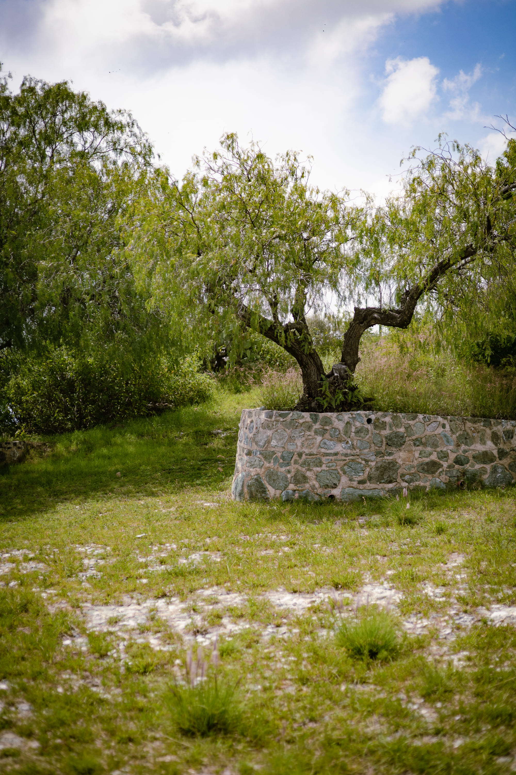 Imagen de Laberinto Picnic